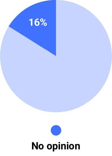 16% no opinion pie chart