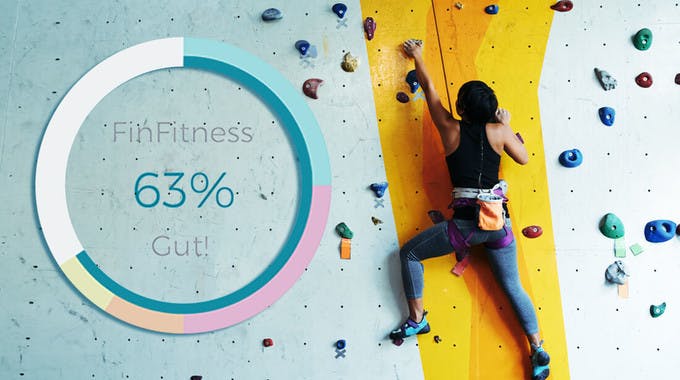 finfitness fin fitness bonify