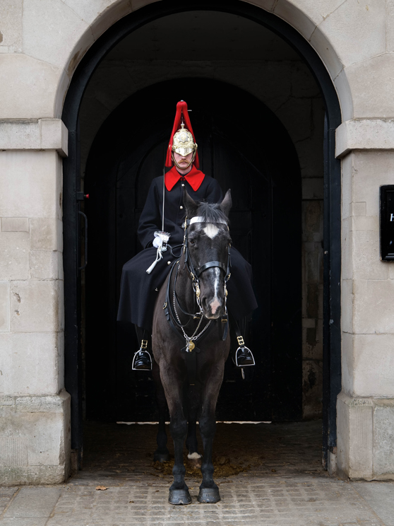 Little Greene at Horse Guards
