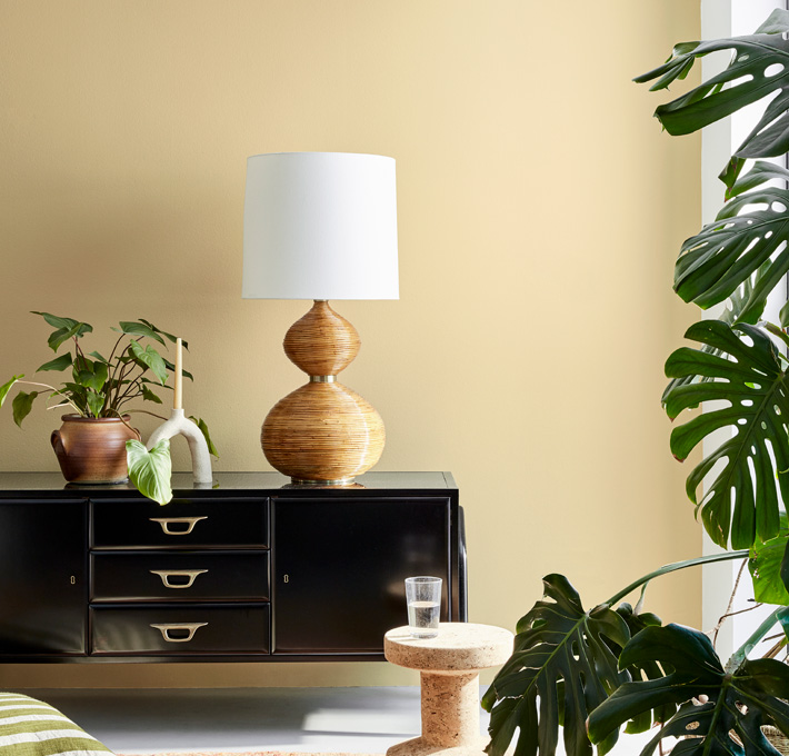 Je hebt zwarte meubels, welke kleur muur past daarbij?