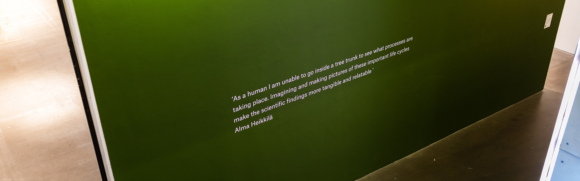 欧宝体肓app小格林在阿尔诺菲尼，森林:唤醒这片土地