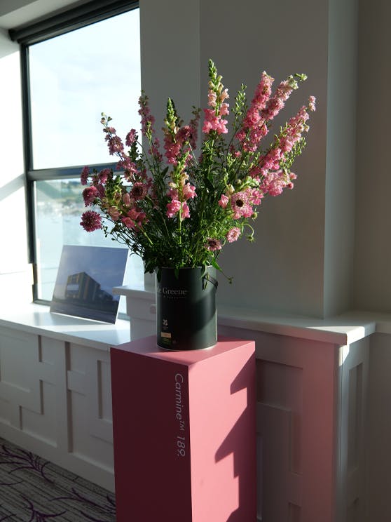 Pink flowers in a black Little Greene paint tin next to a window on a stand painted in bright pink (Carmine).