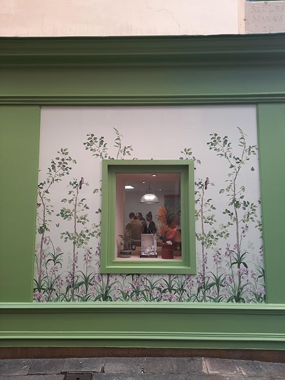 Side of the Little Green Paris showroom exterior featuring floral Volieres wallpaper around a window into the showroom.