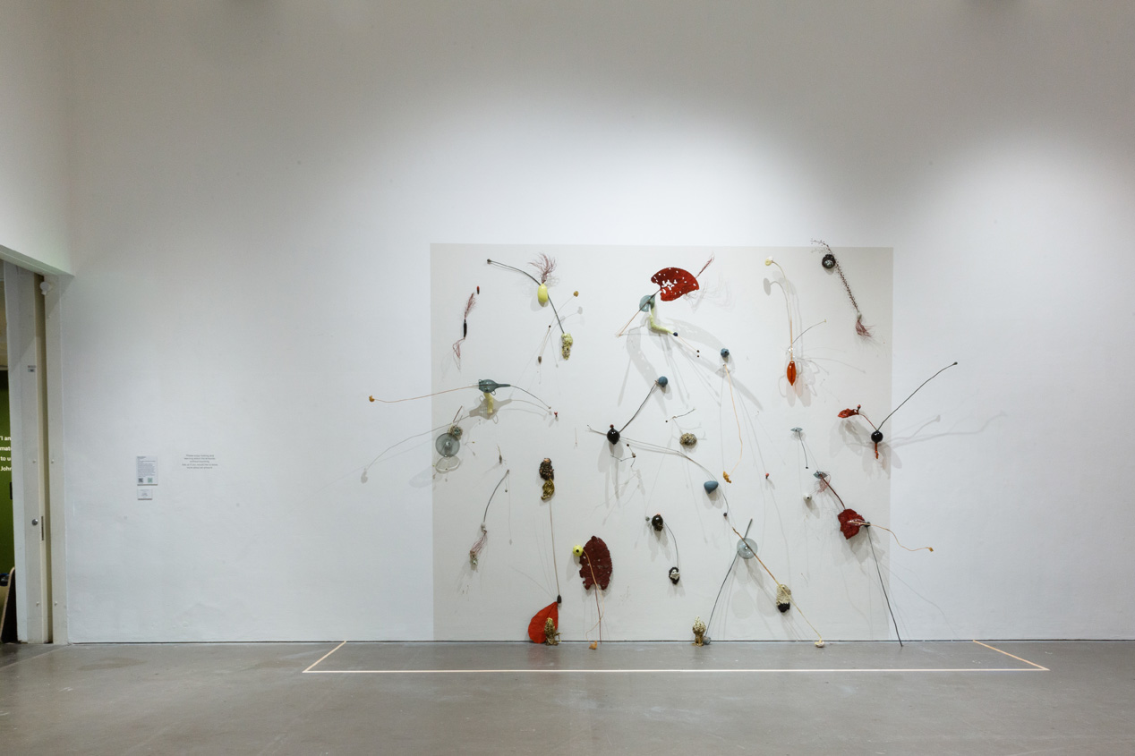 @lisawhitingphotography