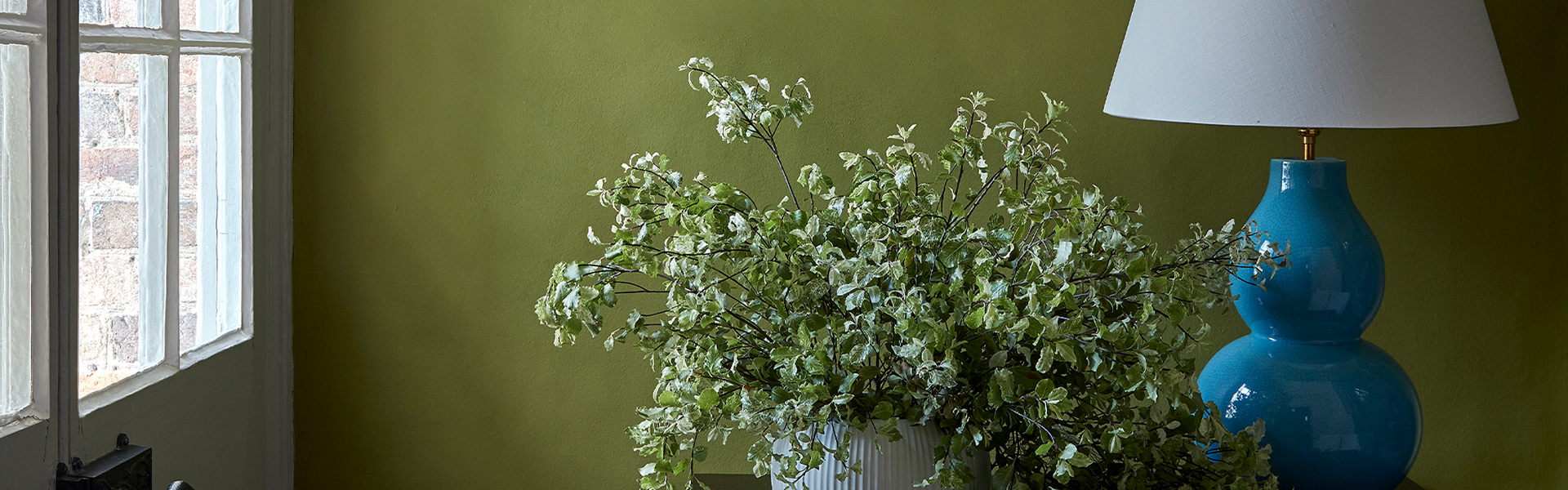 'Forest': Green Interiors