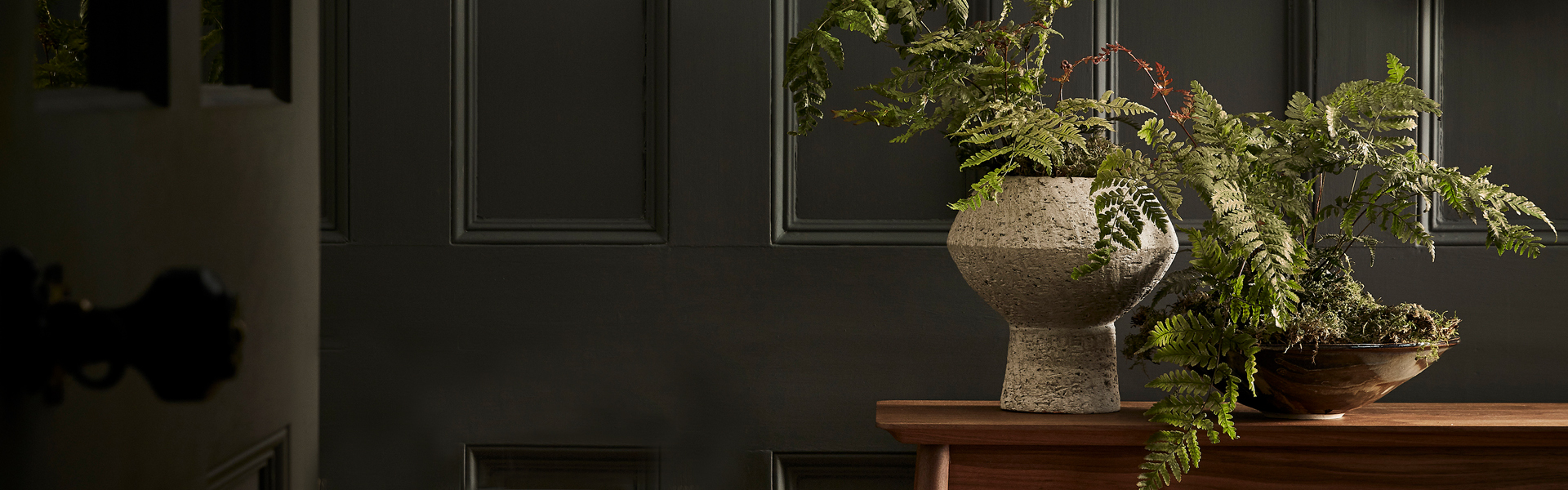 用这些宁静的绿色方案在室内邀请大自然