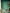 Briar Rose – Green Verditer, Ceiling: Mid Azure Green, Fireplace: Green Verditer, Window Frame: Whitening, Skirting: Mid Azure Green 