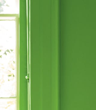 Onze onderneming vals Meer Het gebruik van kleur | Groen