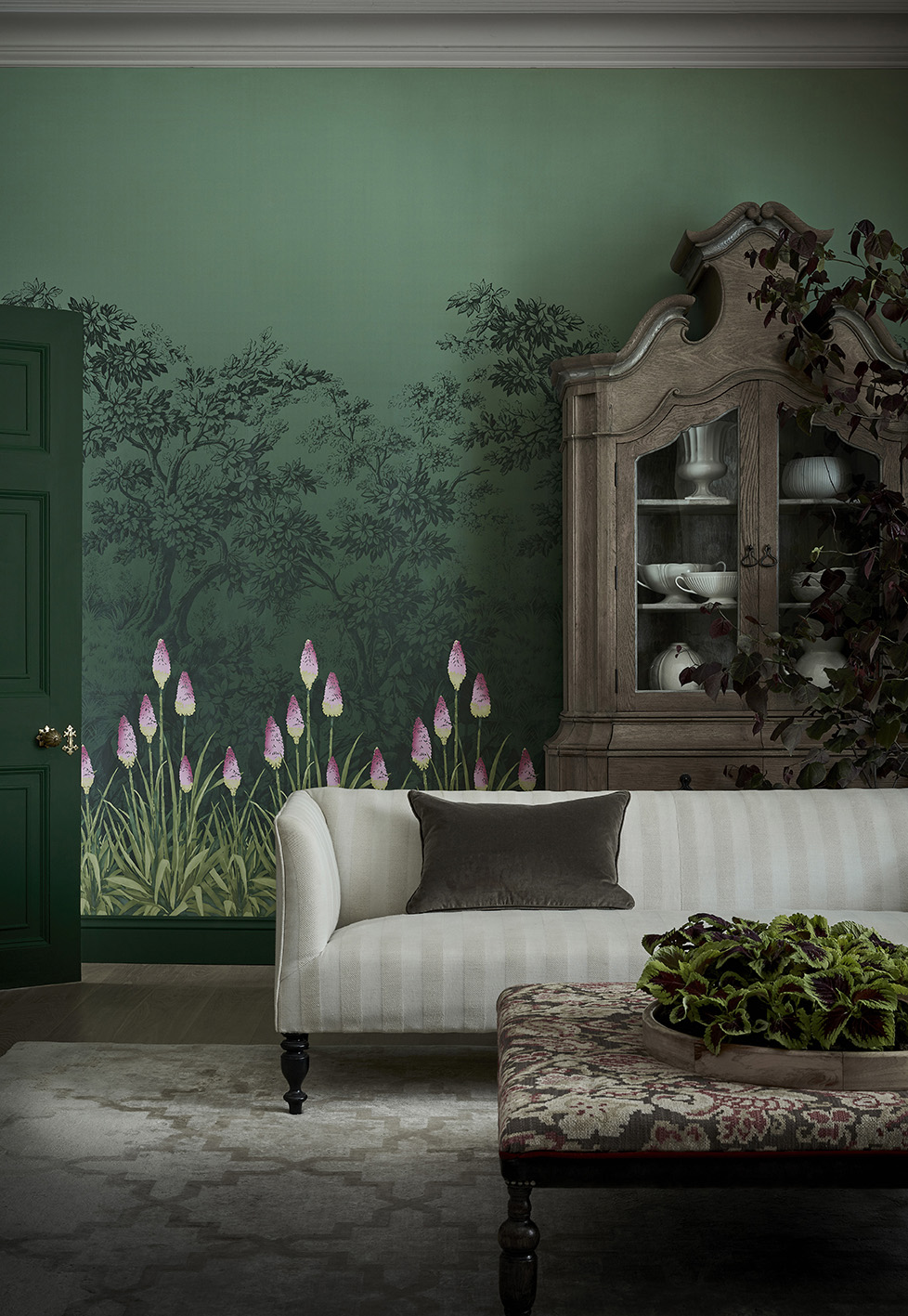 欧宝体肓app小格林赠送《森林》