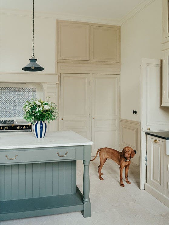 A large kitchen featuring a grey island with marble worktops, walls painted in various Clay tones, and a brown dog.