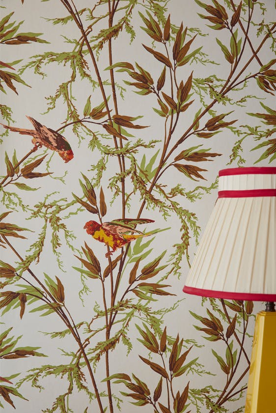 Close up of the green and brown bird and leaf wallpaper 'Great Ormond St - Galette' on a wall with a cream lamp on the right.