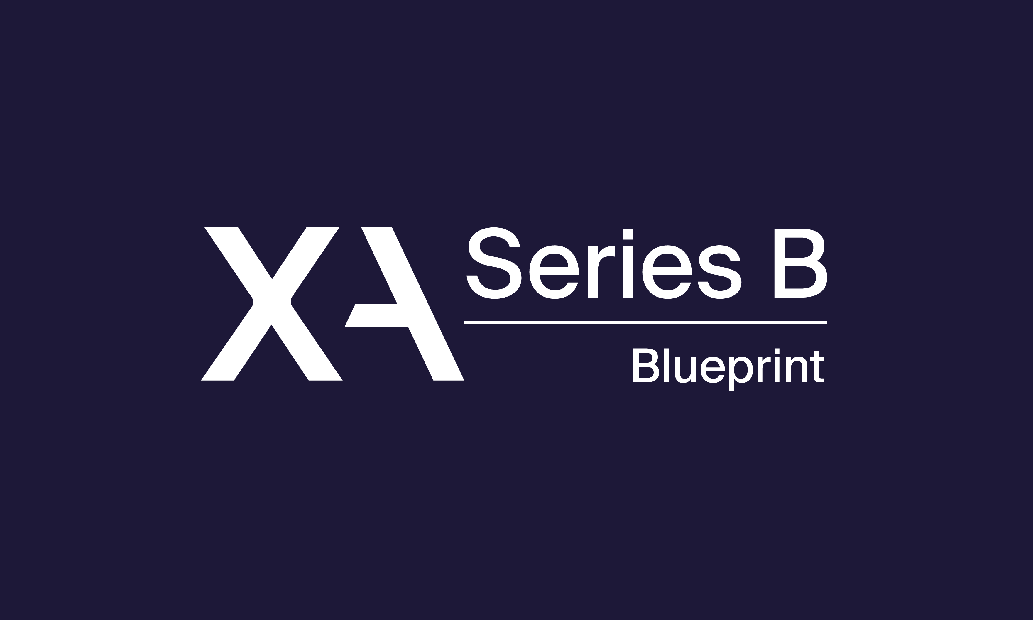 Get the Series B Blueprint — The Step-by-Step Guide for European Founders Preparing to Scale