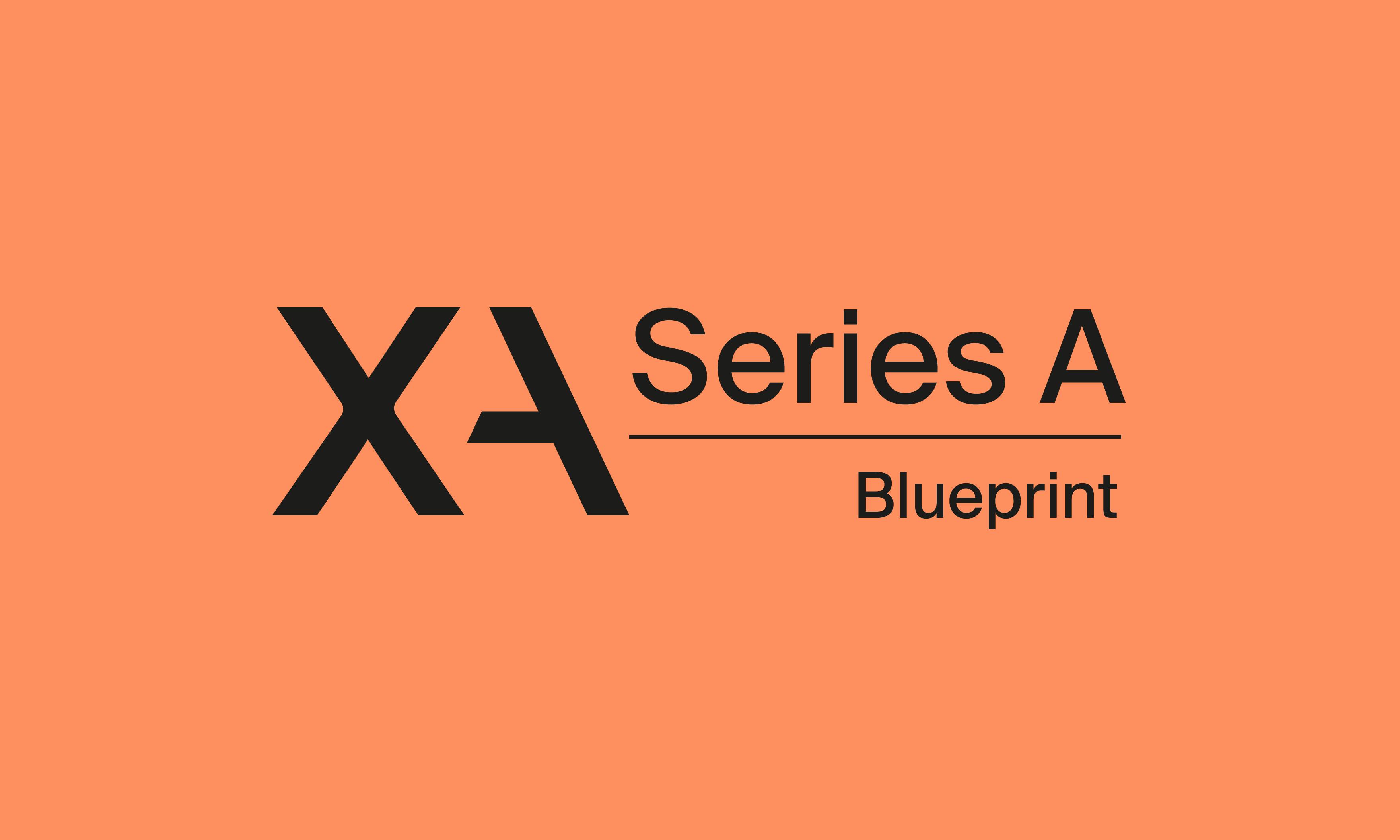 Get the Series A Blueprint — The €1M to €10M ARR Scaling Playbook for European Founders