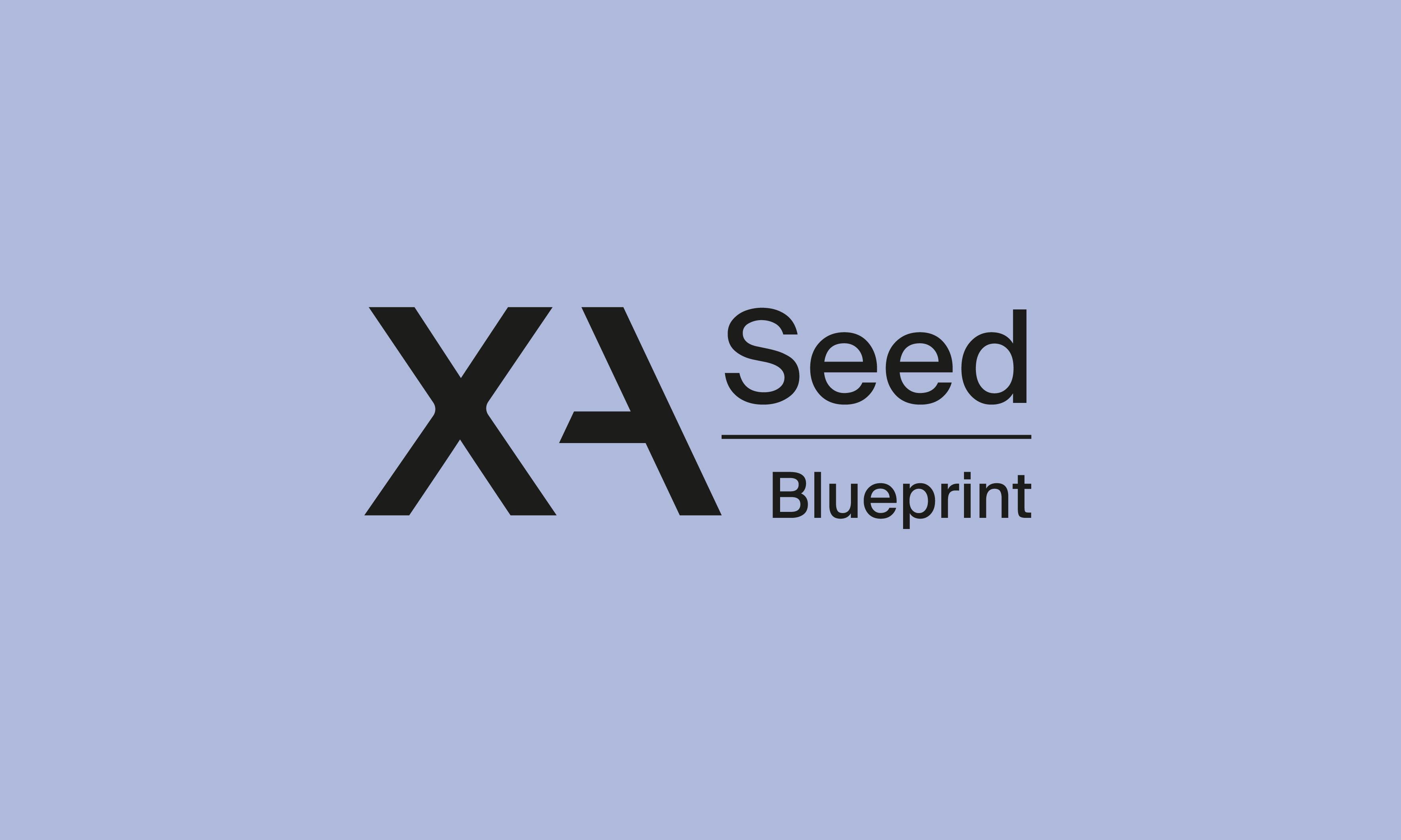 Get the Seed Blueprint — The European Founder's Path from Zero to Funded