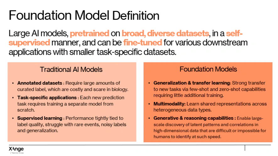 Bio Foundation Models: The Future of AI in Drug Discovery | XAnge