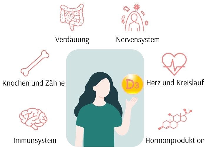 Vitamin D für Frauen Überblick, Hormone, Wechseljahre XbyX