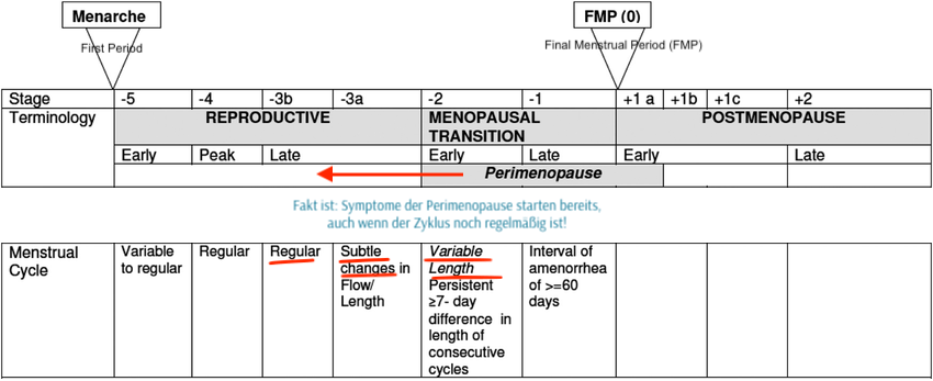 straw-periode-phasen-reproduktiv-perimenopause