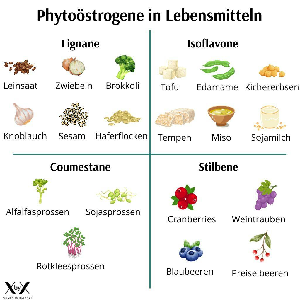 Phytoöstrogene Lebensmittel Tabelle