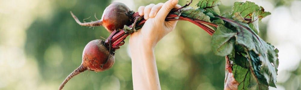 Hülsenfrüchte in der entkoppelten Ernährung