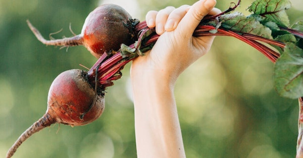 Ernahrung In Den Wechseljahren Xbyx Ernahrung In Den Wechseljahren Xbyx