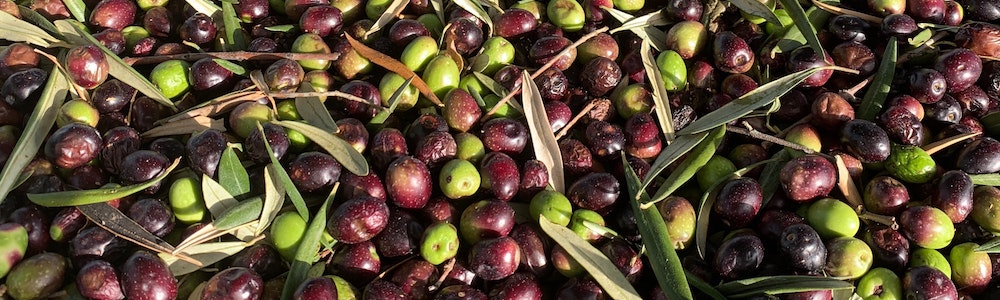 Fette frauen kontakte