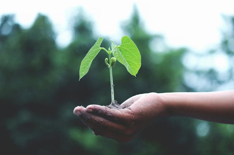 The Power of Compound Interest and How It Can Supercharge Your Wealth