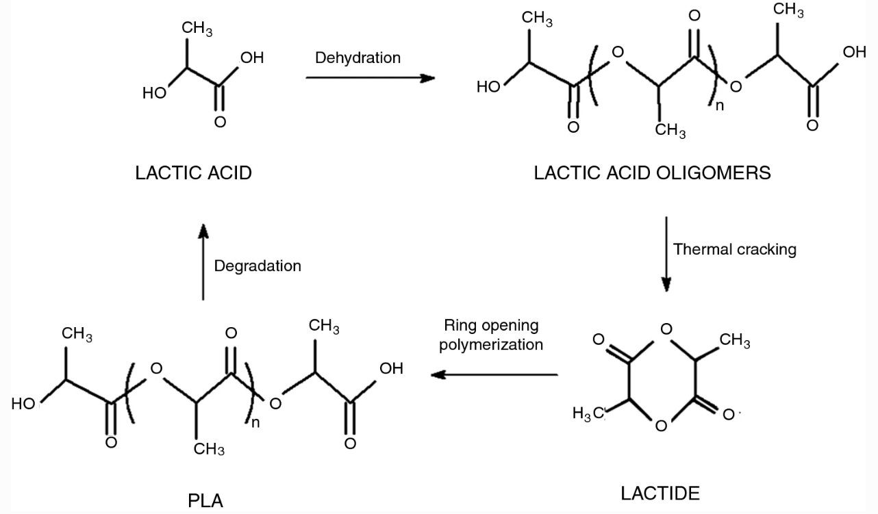 Polylactic Acid Structure