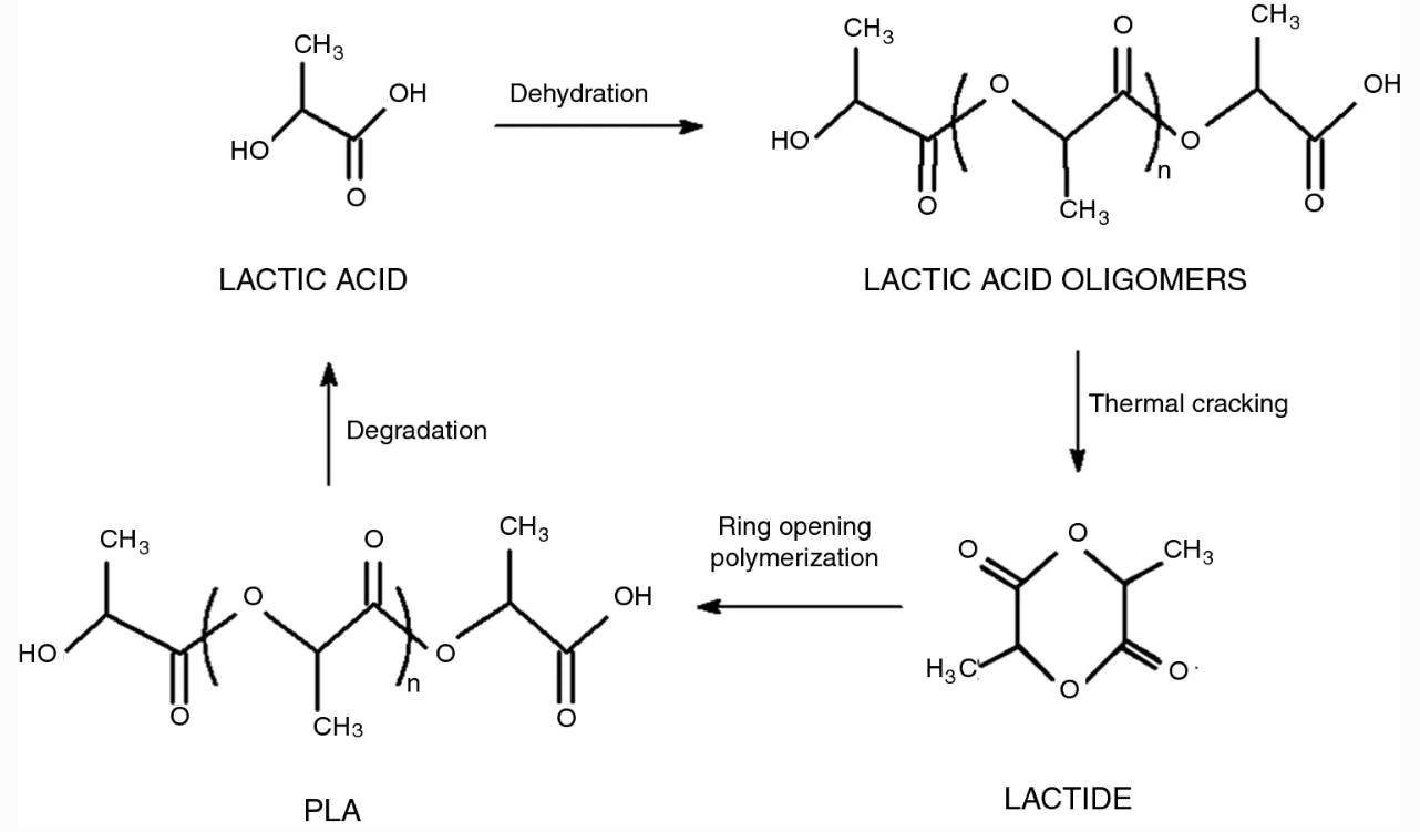 chemical process for pla