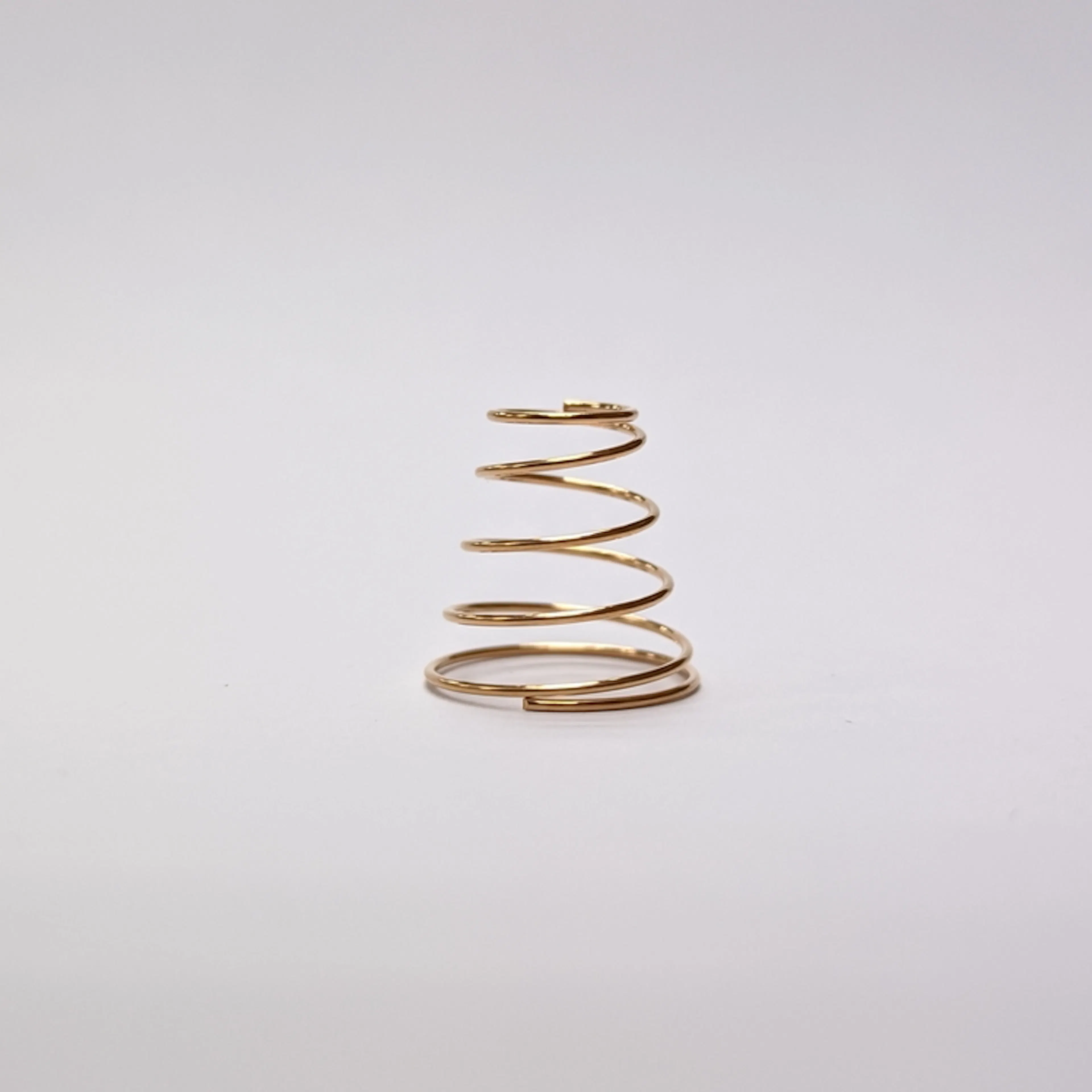 Bronze cone spring. Image Credit: Shutterstock.com/MOHD HASRI BIN HAMZAH
