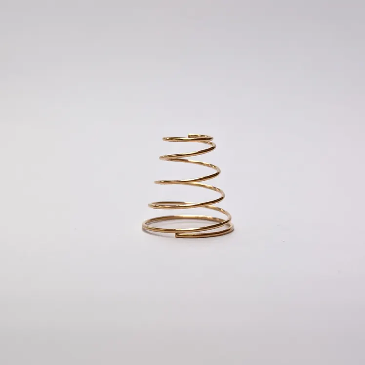 Bronze cone spring. Image Credit: Shutterstock.com/MOHD HASRI BIN HAMZAH