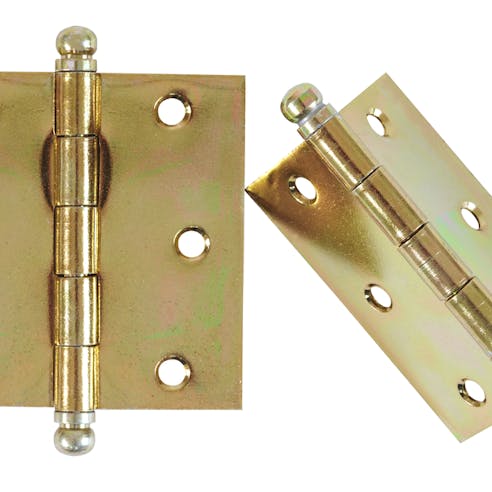 Brass hinges. Image Credit: Shutterstock.com/Luisa Leal Photography
