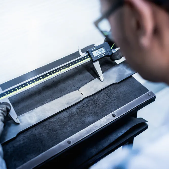 Measuring elongation. Image Credit: Shutterstock.com/N_Sakarin