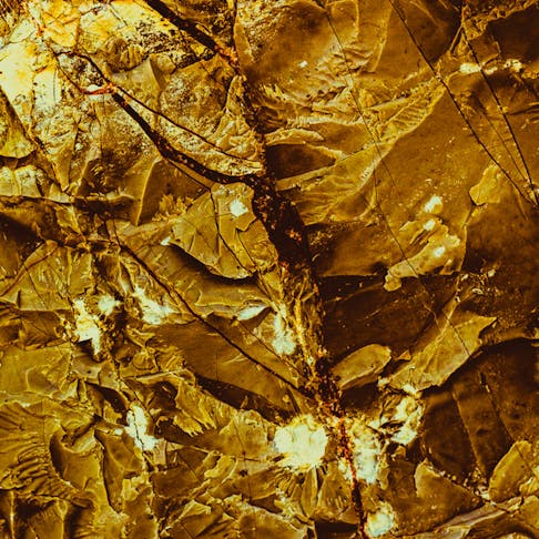 Gold mineral. Image Credit: Shutterstock.com/Kseniya Ivashkevich
