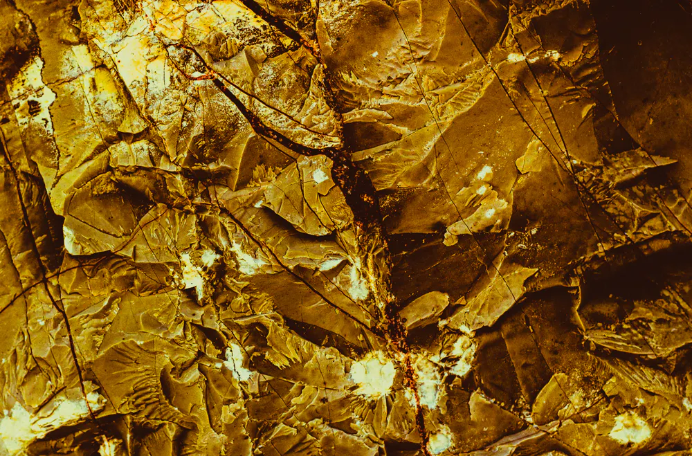 Gold mineral. Image Credit: Shutterstock.com/Kseniya Ivashkevich
