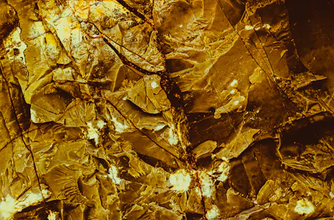 Gold mineral. Image Credit: Shutterstock.com/Kseniya Ivashkevich