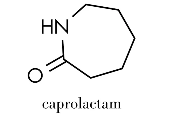 Nylon 6 and Nylon 6/12: Differences, Advantages and Disadvantages