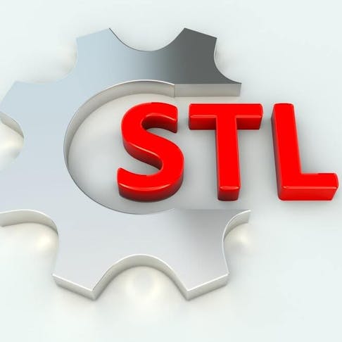 STL file name. Image Credit: Shutterstock.com/Profit_Image