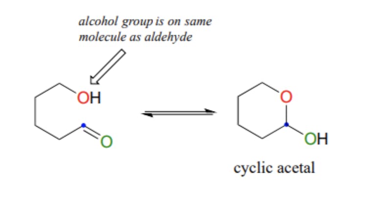 cyclic acetal