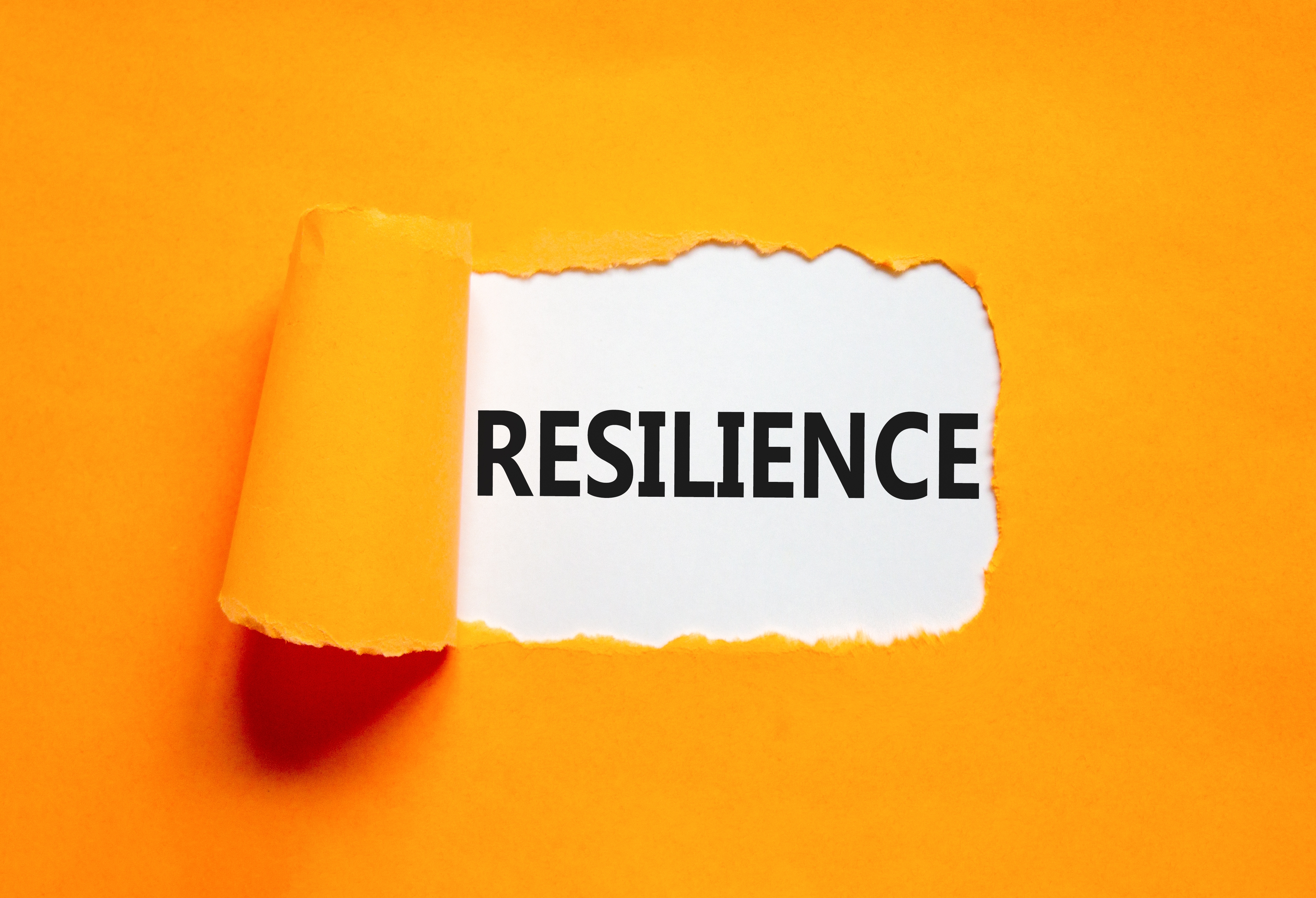 Modulus of Resilience. Image credit: Shutterstock/Dmitry Demidovich