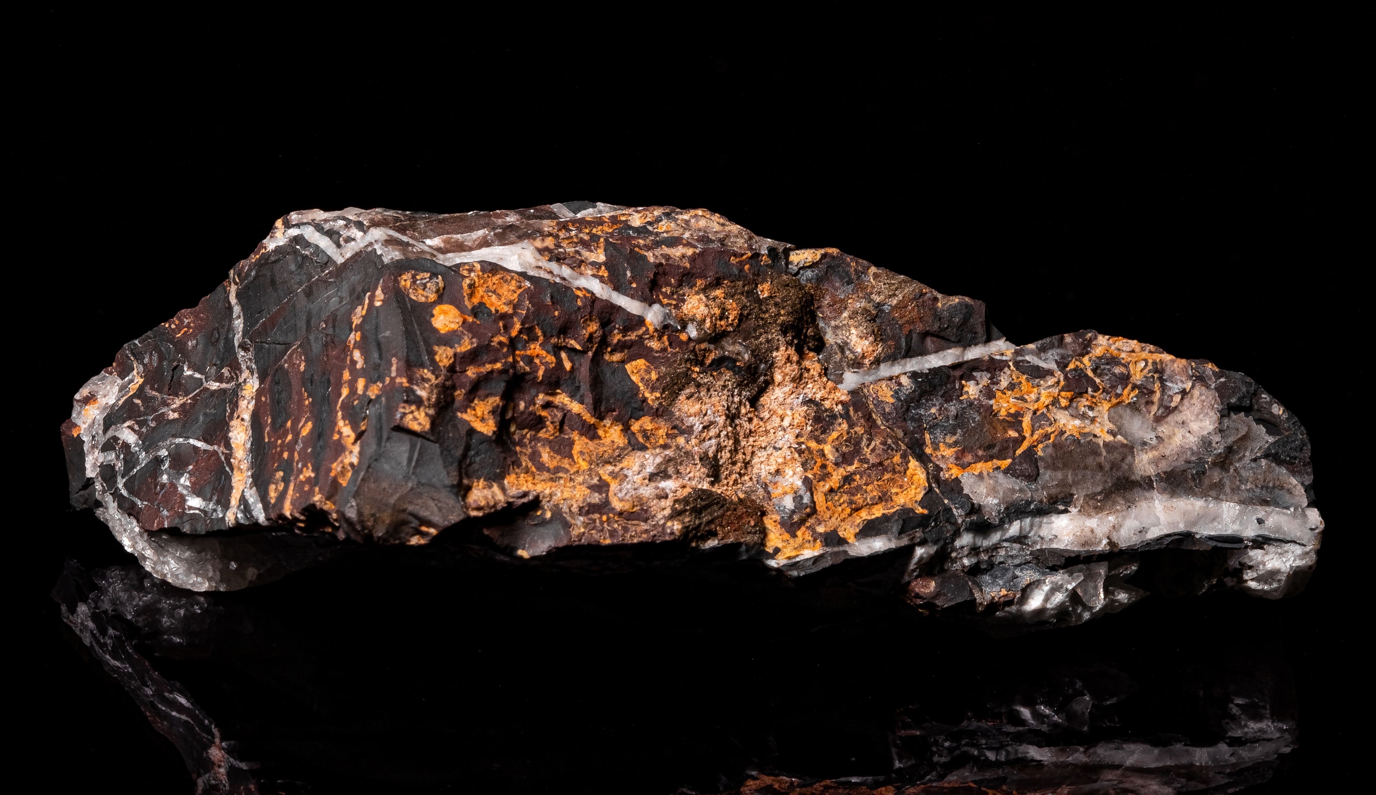 Manganese Bronze. Image credit: Shutterstock/Sunshine Seeds