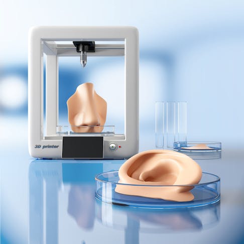 3D bioprinted organ and tissue. Image Credit: Shutterstock.com/Iaremenko Sergii