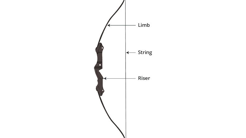 Basic archery bow anatomy