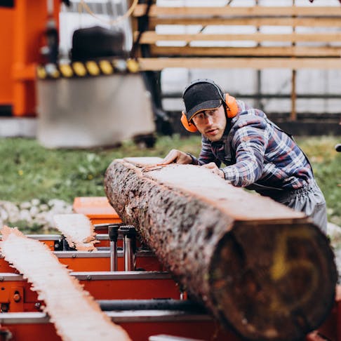 Sawmilling. Image Credit: Shutterstock.com/PH888