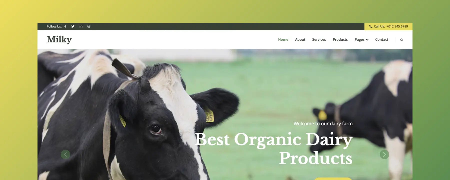 Milky - Mẫu Website Sữa Bò Miễn Phí
