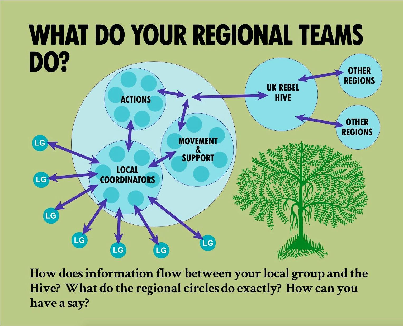 What do your Regional Teams do? How does information flow between your local group and the Hive? What do the regional circles do exactly? How can you have a say? 