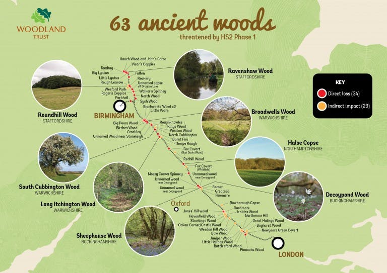 Map showing some of the 63 ancient woods threatened by HS2 (Image: Woodland Trust)