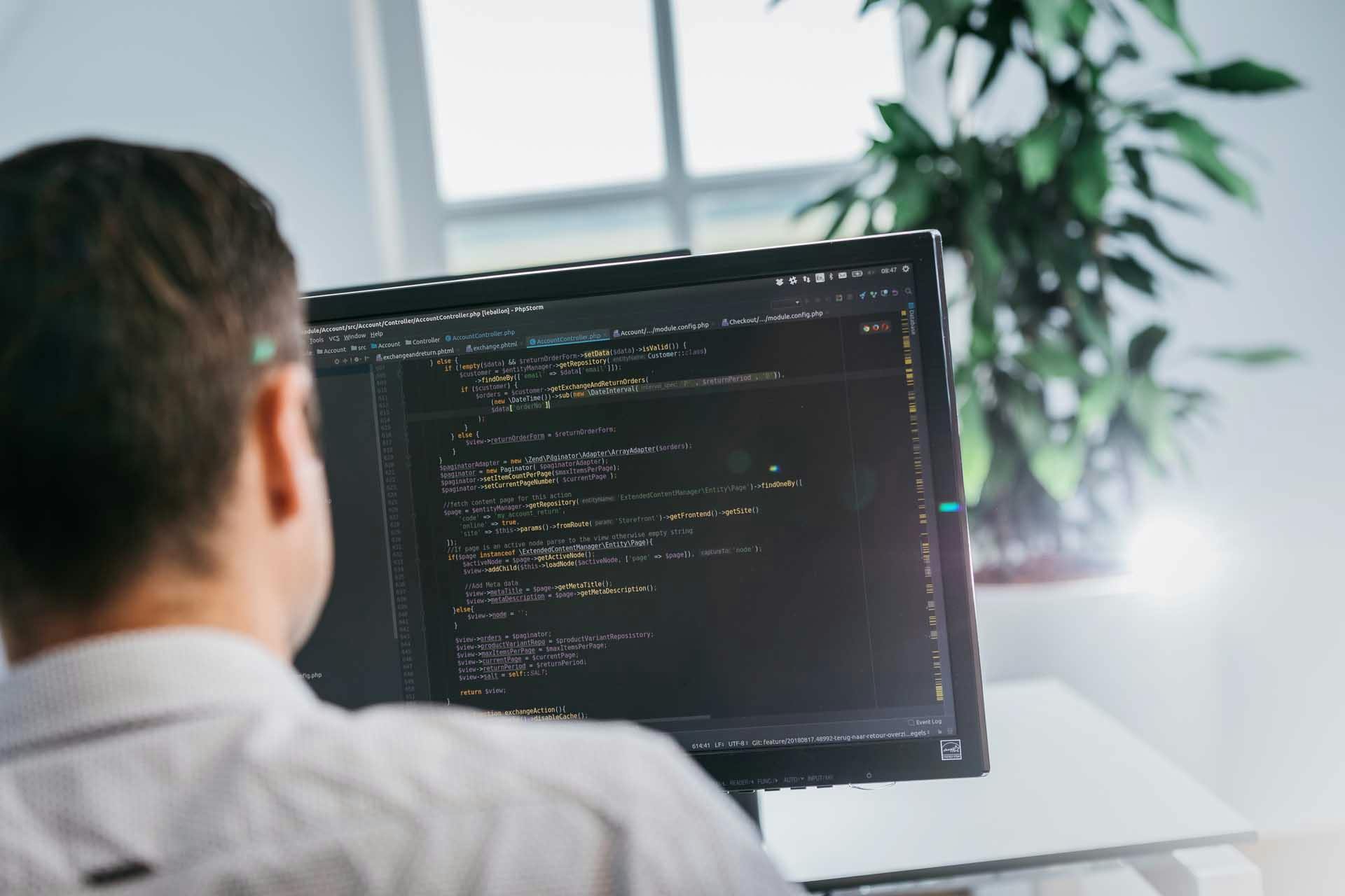 Developer