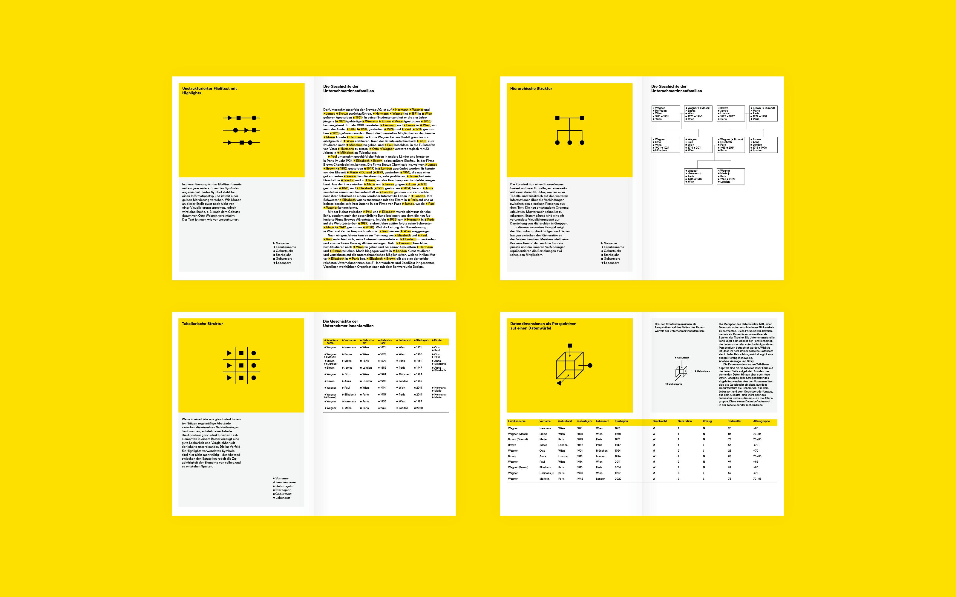 Superdot Studio Visualizing Complexity Handbuch modulares Informationsdesign MID