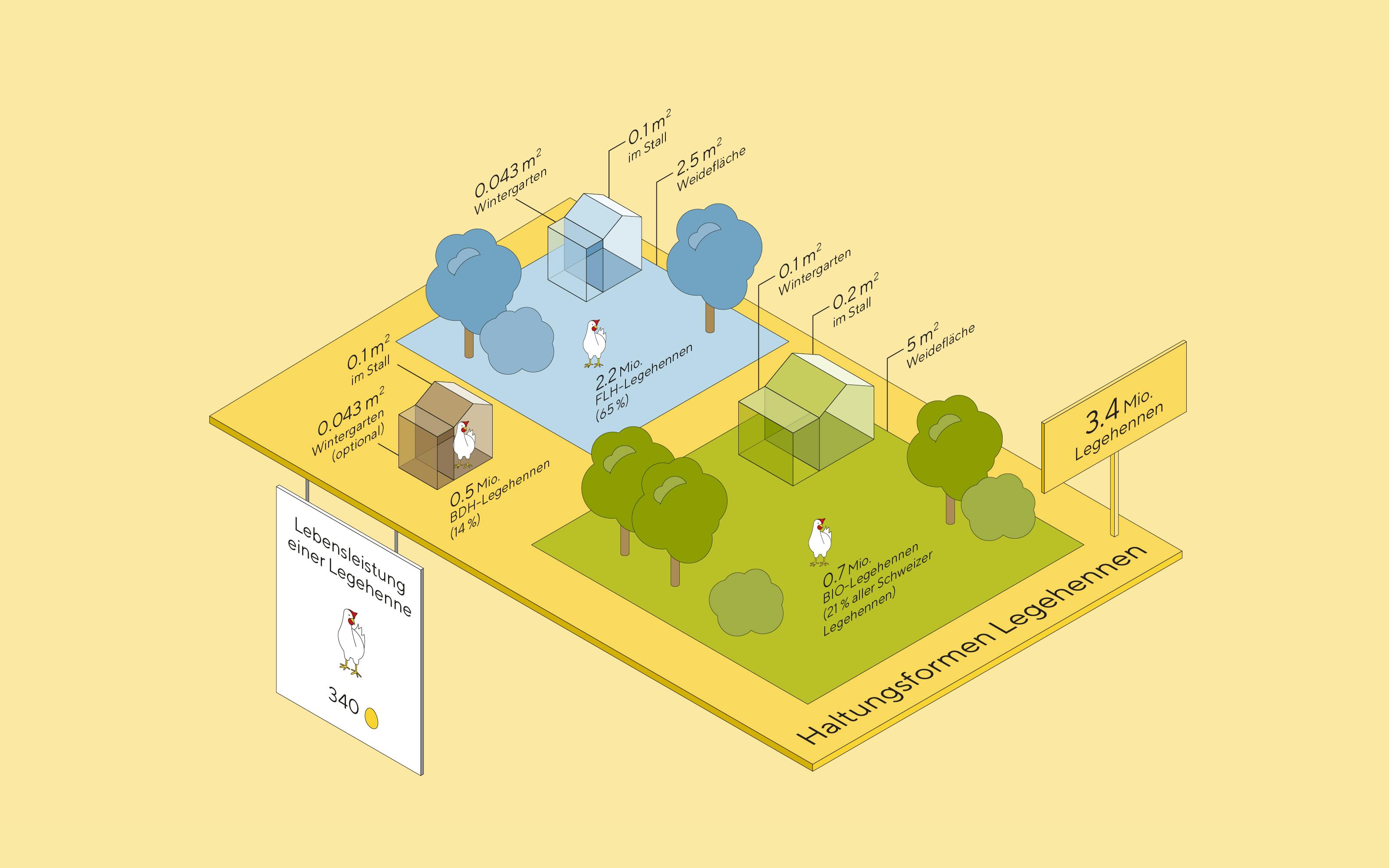 The central part of the infographic are the four steps of the value-added chain. From there we draw different ‘side stories’ such as conditions for different production methods, distribution and size of breeding farms, and international comparison about egg consumption. For the look and feel, we chose the isometric view as this allowed us to accurately display volumes and sizes in an understandable and attractive way.