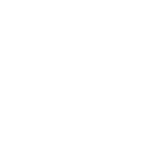logo blanc de Yael Edery Painting